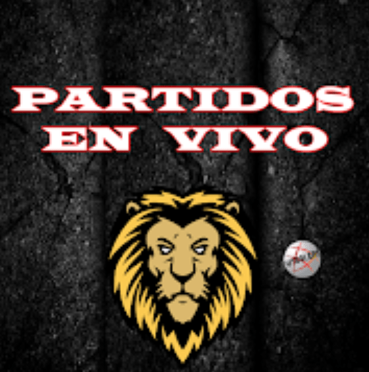 Partidos en Vivo apk descargar